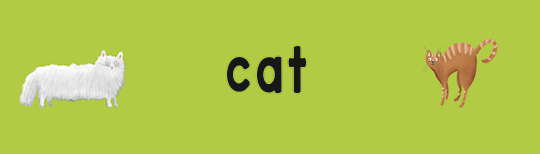Kot